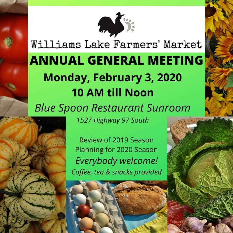 ANNUAL GENERAL MEETING