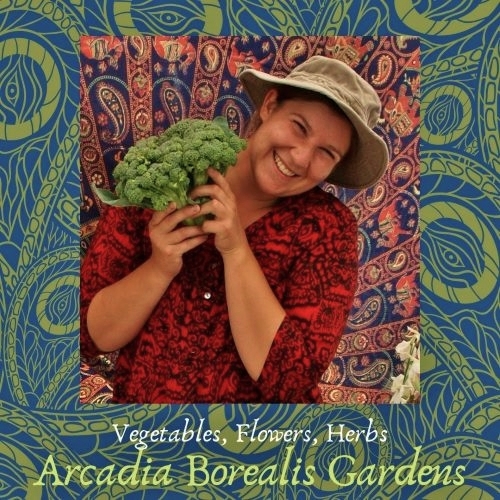 Arcadia Borealis Directory 2021 v5 wp 500