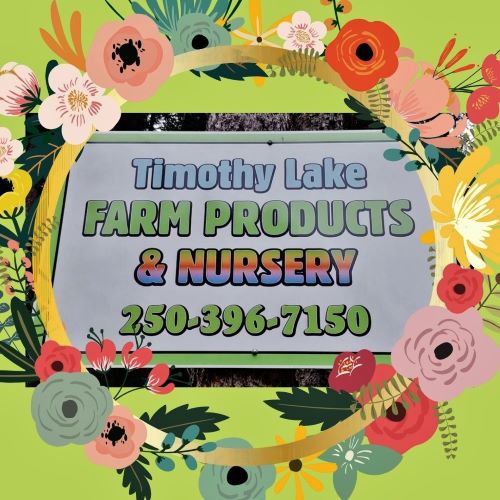 CDFMA timothy lake nursery 2021 wp 500