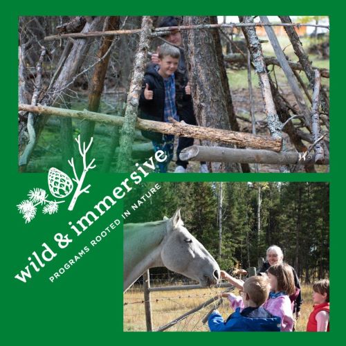 cdfma 2022 wild and immersive wp directory 500