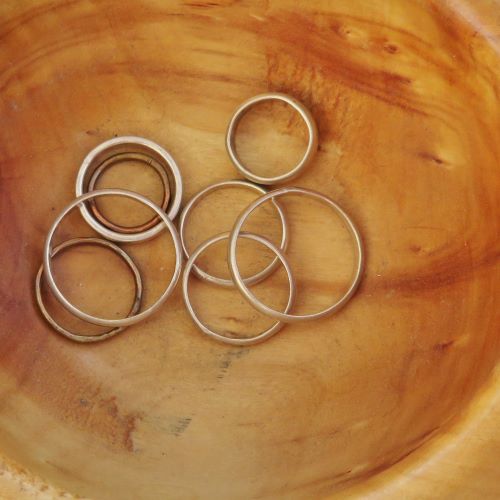 cdfma friday september 2 northern chickadee rings (2) wp 500