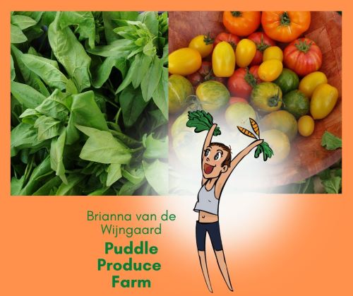 puddle produce farm directory wp 500
