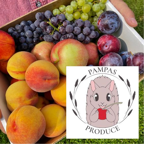 xr:d:DAGCfxnEmTU:3,j:7690321325601774211,t:24041516